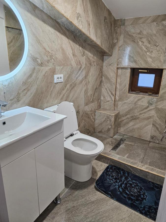 Didi Apartament Craiova Exterior photo